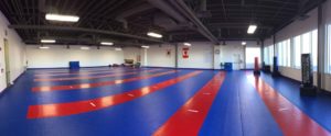 Training floor, main dojang floor